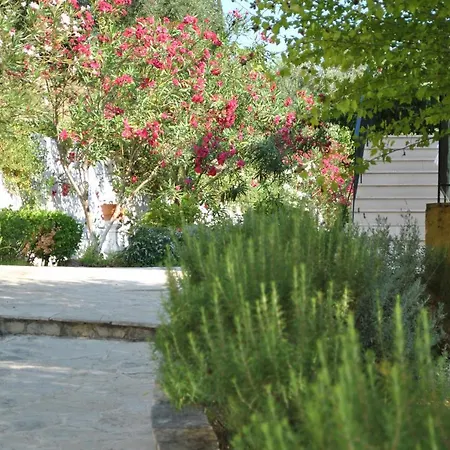 Helios Splendid 3*