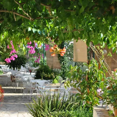 Helios Splendid 부카리