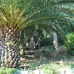Helios Splendid 3*