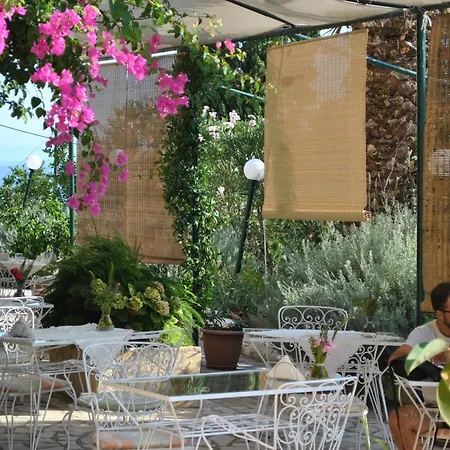 Helios Splendid 3*