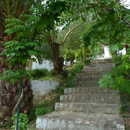 Helios Splendid 3* Mpoukaris