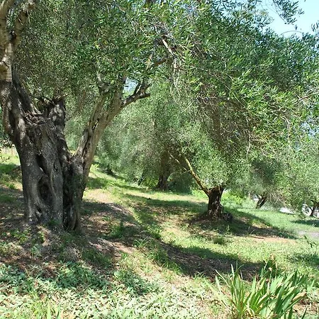 Helios Splendid Mpoukaris