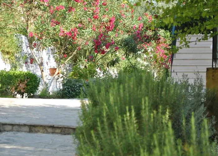 Helios Splendid 3*