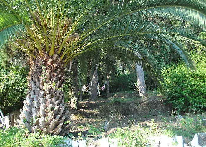 Helios Splendid 3*